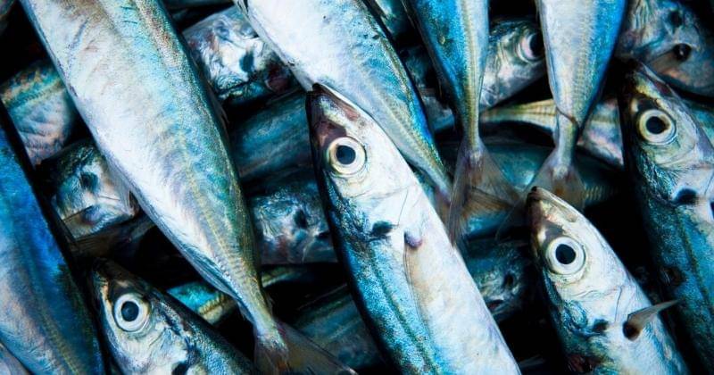 Freepik/rawpixel.com